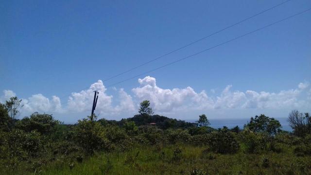 Área rodovia Ilhéus -Itacaré - Foto 4