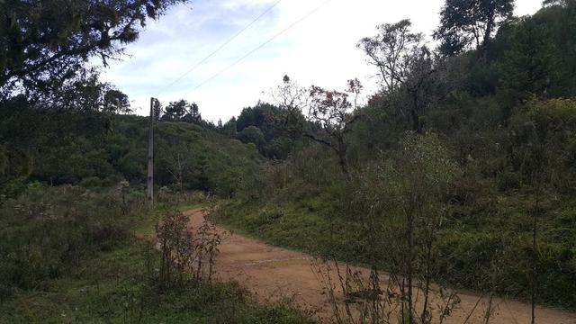 Terreno de 30.000m2 para chácara em Campo Alegre - Foto 13