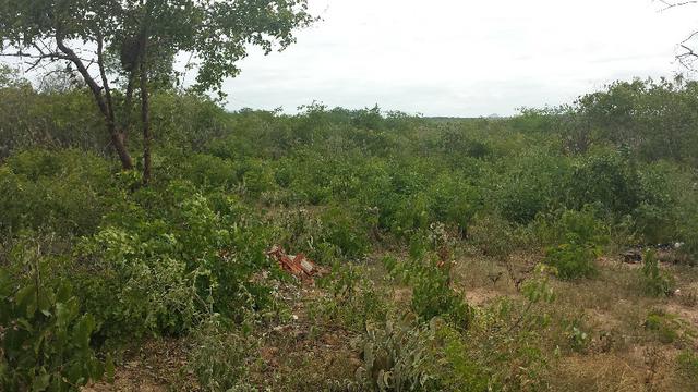 3 Lotes para Cácaras - Oportunidade - Foto 13
