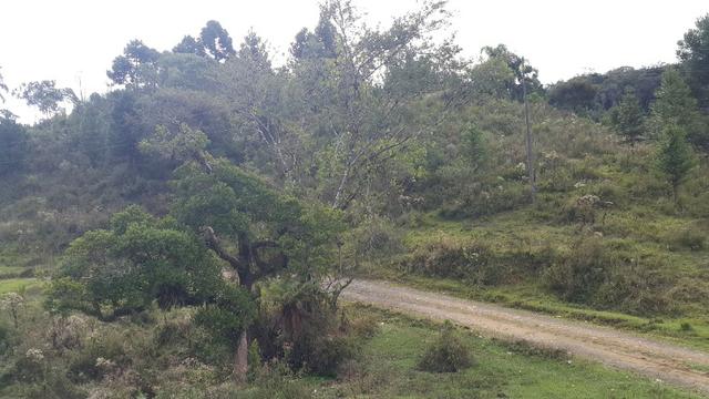 Terreno de 30.000m2 para chácara em Campo Alegre - Foto 10