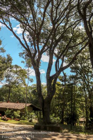 Chácara de lazer em Goiânia saída Aragoiânia!! - Foto 19
