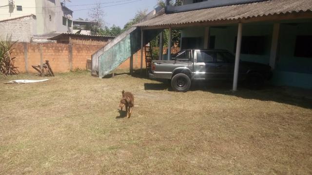 Vendo - Foto 2