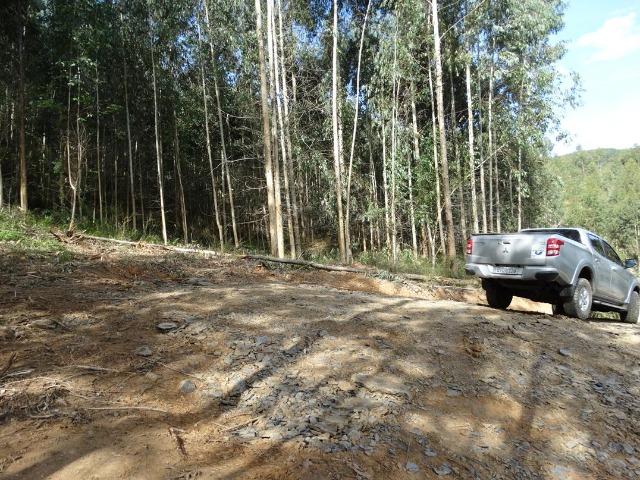 Alfredo Wagner , Serra Catarinense 8,0 hectares - Foto 17