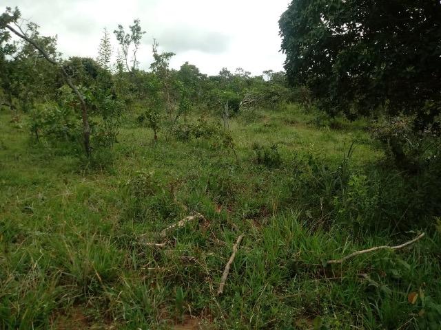 Fazenda 90 alqueires - Foto 2