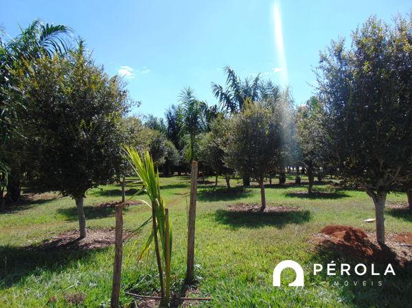 Rural chacara em condomínio com 2 quartos no Ecovila Santa Branca - Bairro Setor Central e - Foto 5