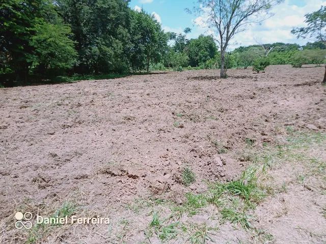 Sítio ferraz - Foto 4