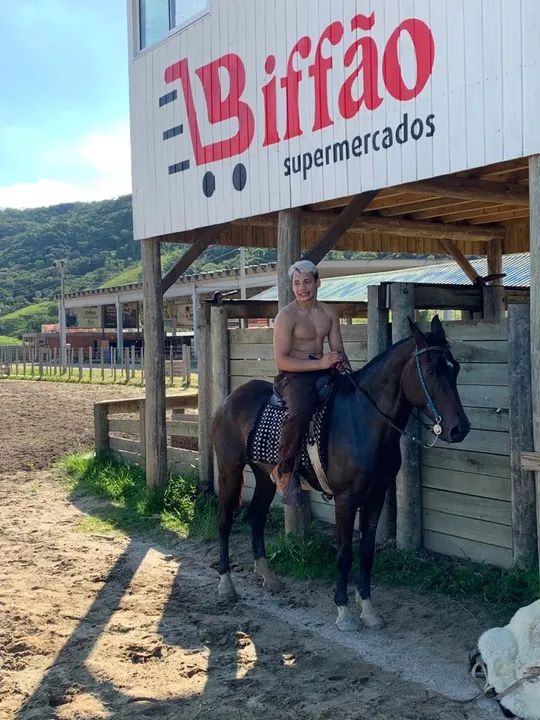 Cavalo quarto de milha 