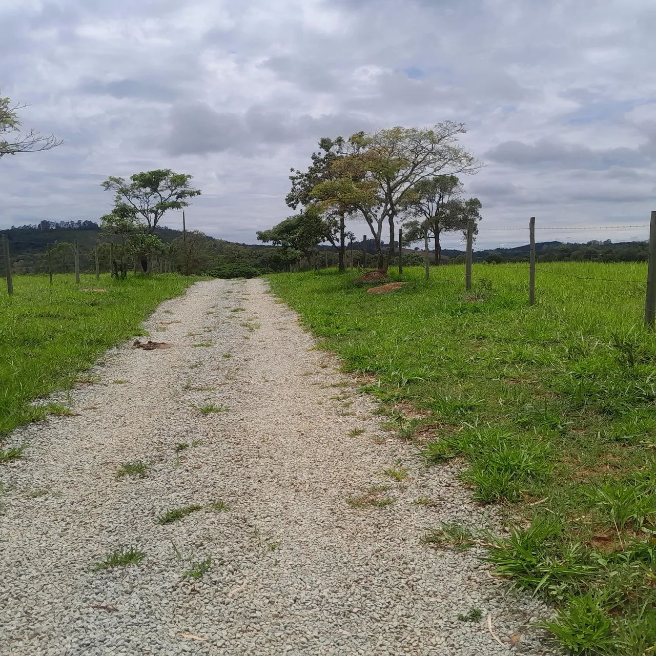 Terreno rural em itatiaucu  - Foto 5
