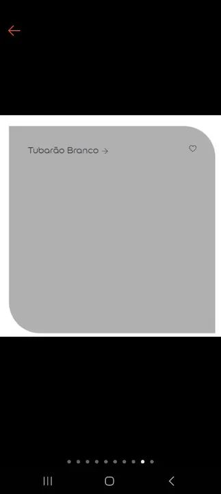 Cimento queimado tinta Coral - Foto 2