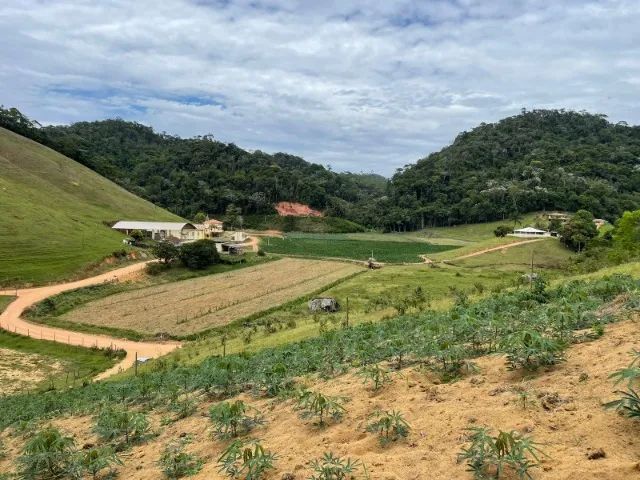 Terreno / chácara - Birirca - Boqueirão do Thomas. OPORTUNIDADE ÚNICA - Foto 3