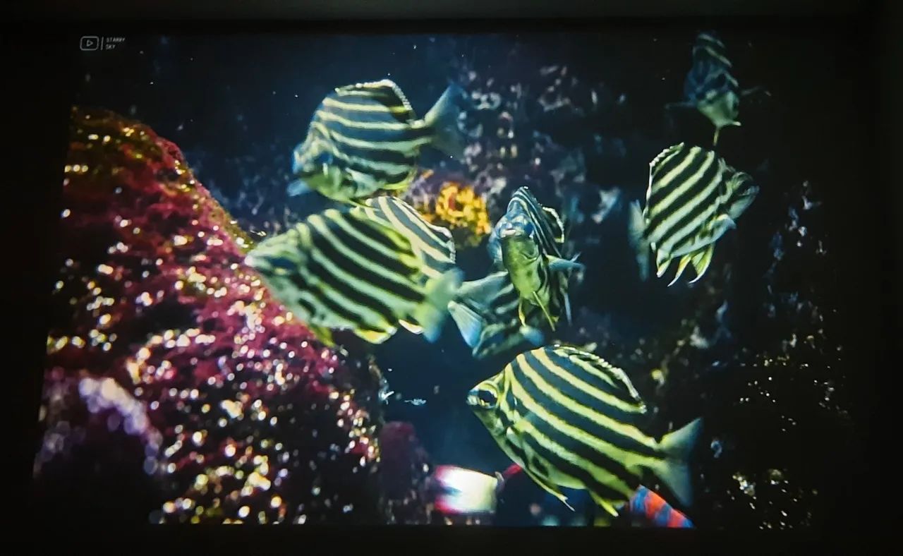 Oportunidade... Projetor Portatil Magcubic original  HY320 Smart Android - Foto 4