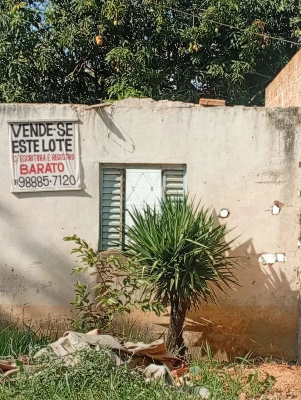 Lote com registro, escritura e número da rua  - Foto 12