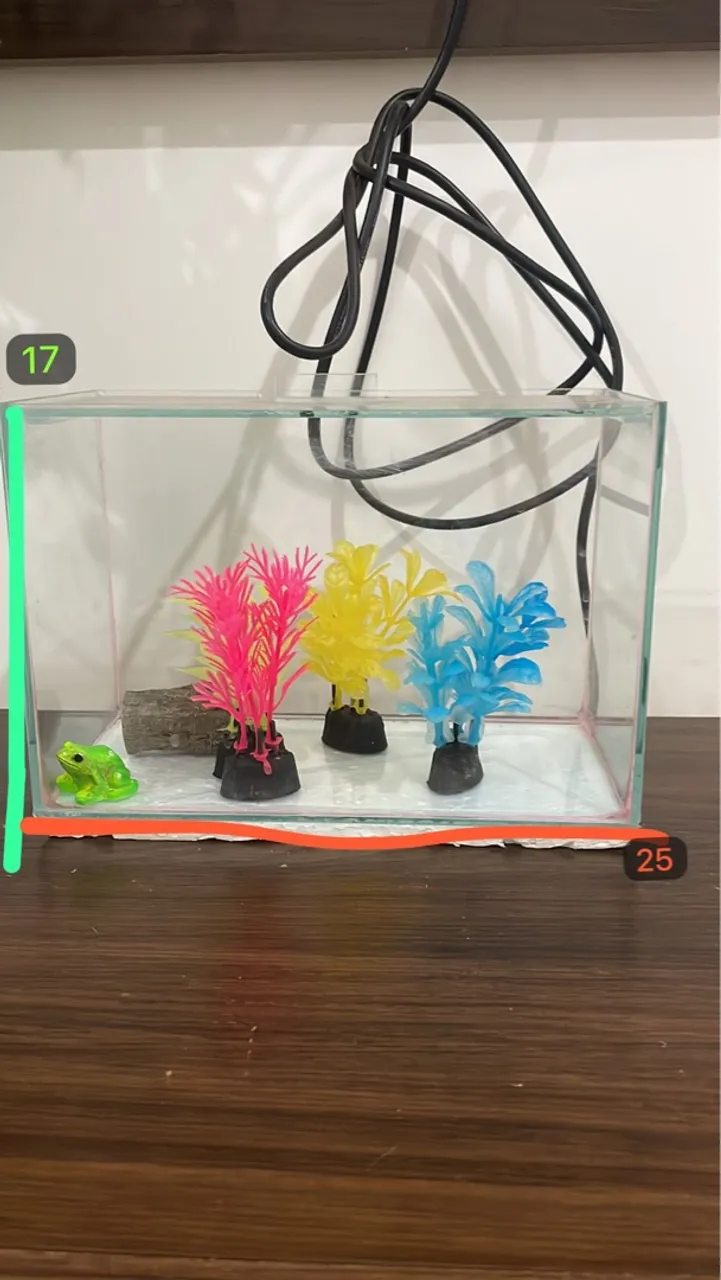 vendo aquário com acessórios 