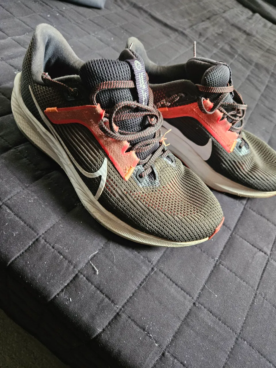 Nike Pegasus 40