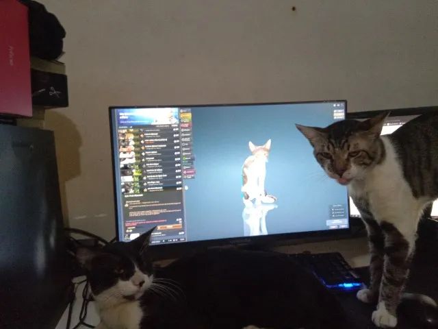 Procura-se gato perdido, Itararé, Vitória ES. - Foto 2