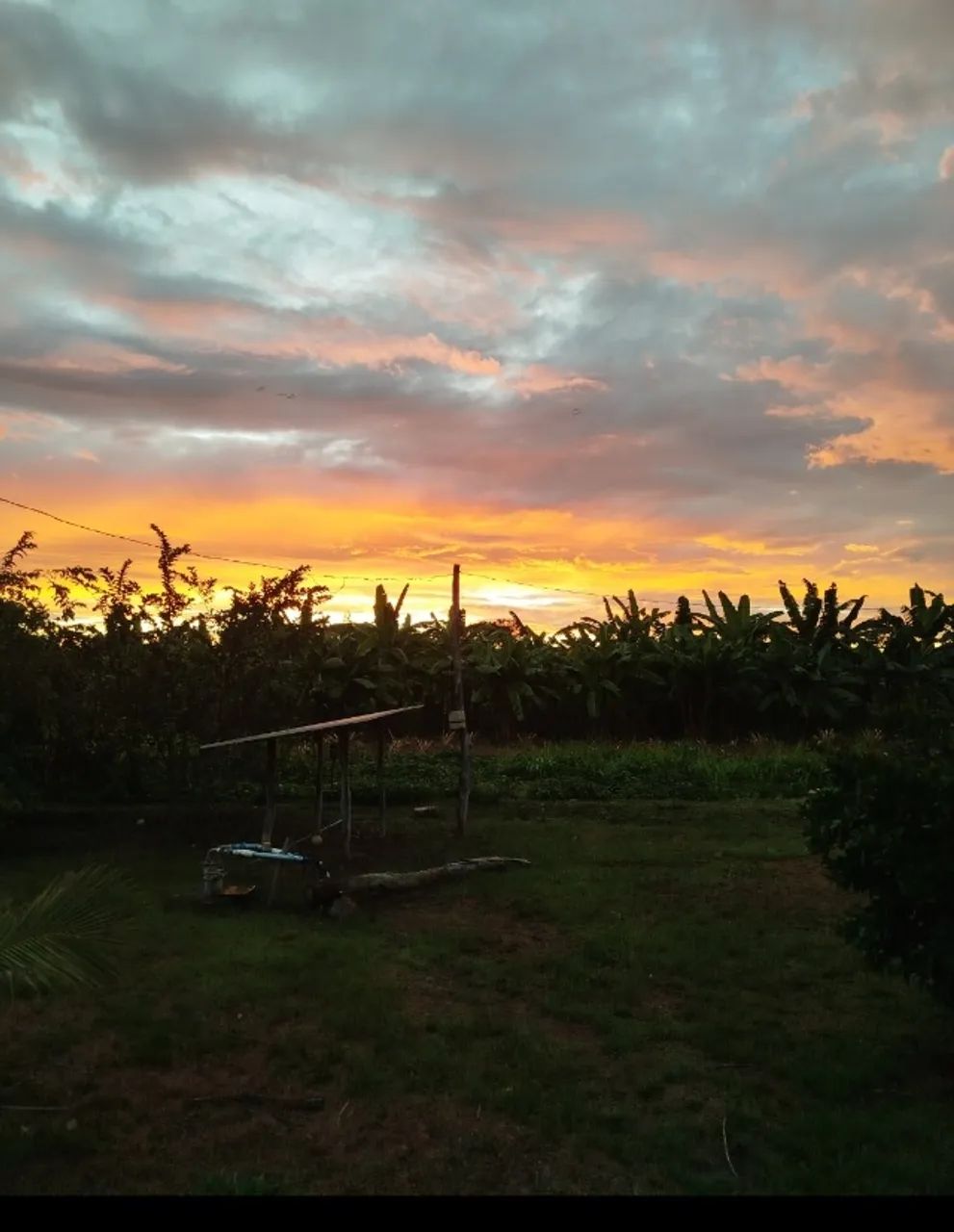 Fazenda em Taguatinga Tocantins  - Foto 4