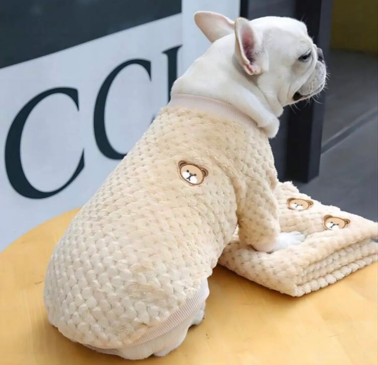 Roupa de cachorro fofa - P