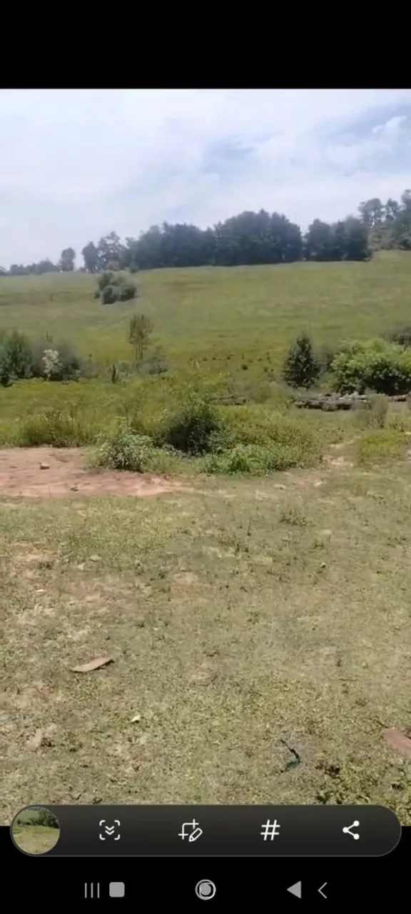 Terreno em Santana do livramento