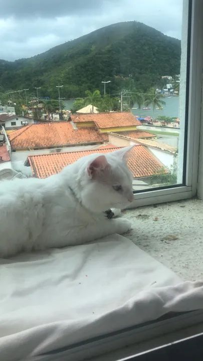 Apto pé na areia  - Foto 4