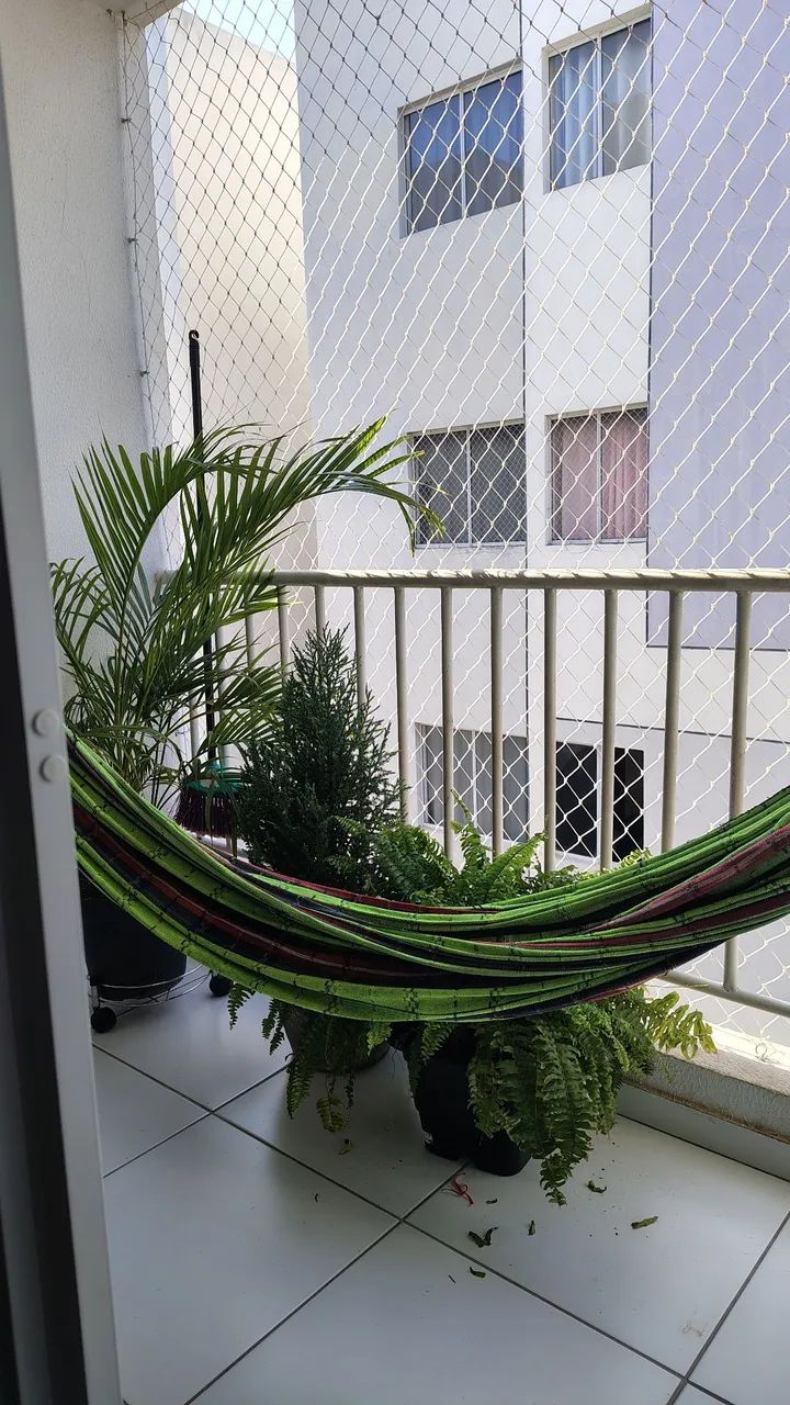 Foto - Teresina - Todos os Santos