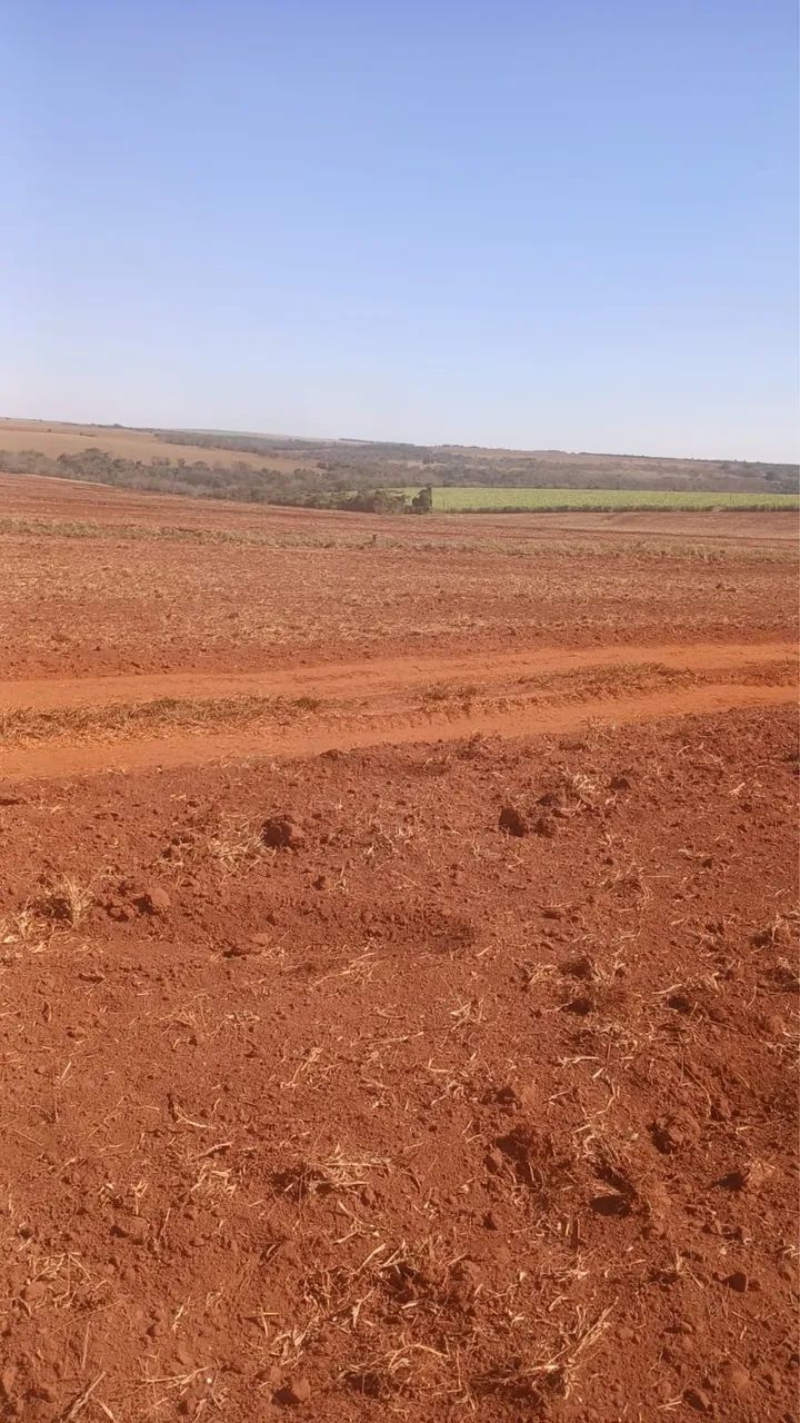 Fazenda em Uberaba 100% aproveita lavoura  - Foto 5