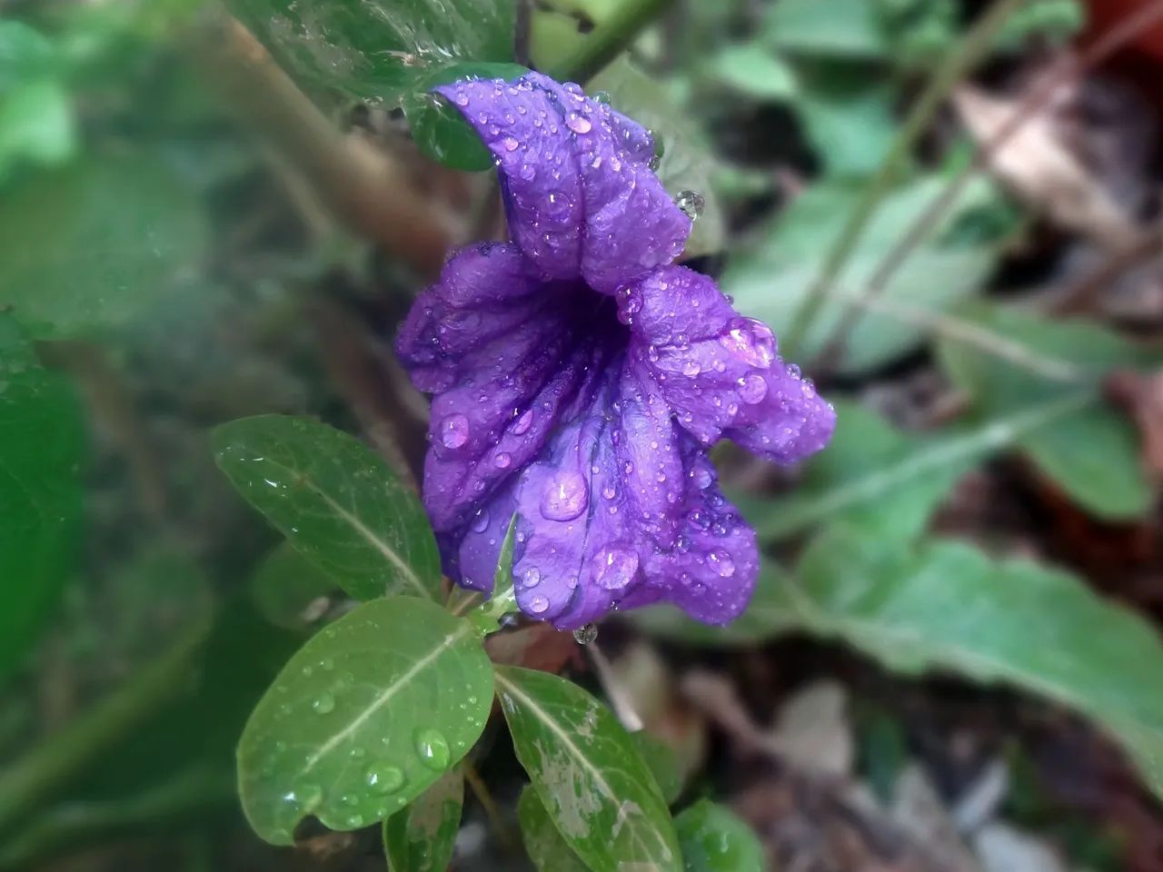 Câmera Digital Sony Cybershot DSC TX10 16.2 MP e Lente Carl-Zeiss Touchscreen Vintage! - Foto 6