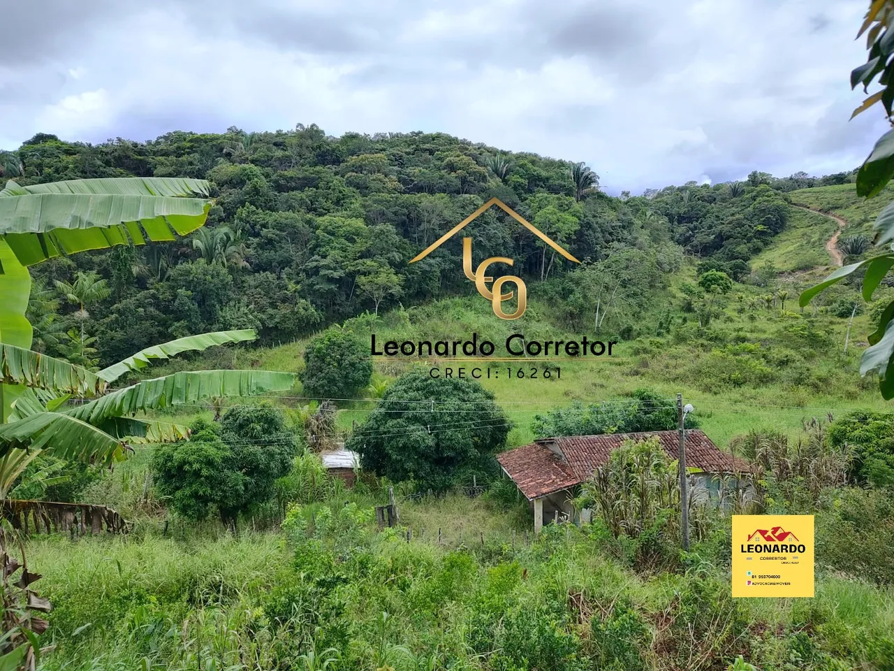 Leonardo Alcântara Vende: Sítio Em Gravatá 12.2 Hectares Nascente De Água E Riacho - REGIS