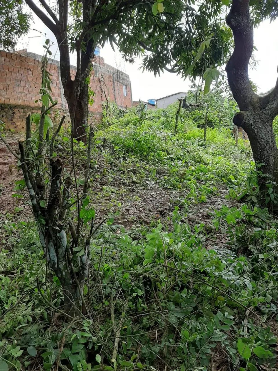 Terreno  Santa Mônica(aceito valor parcelado +entrada)) - Foto 2