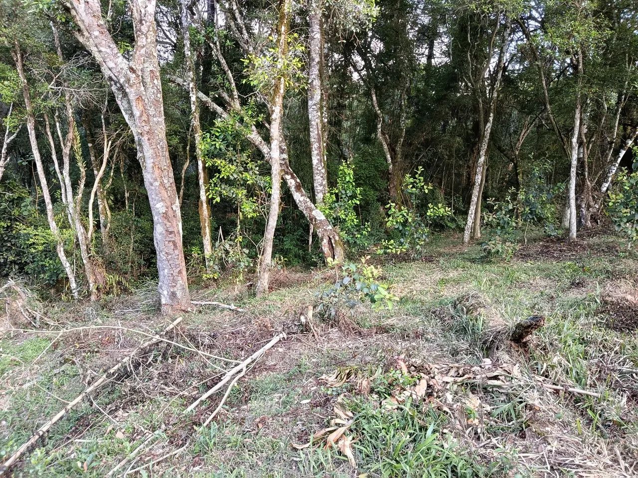 Área de 22 mil MTS Antônio Olinto  - Foto 2