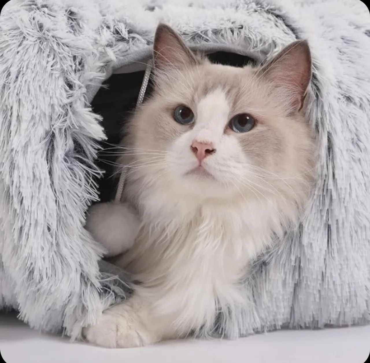 Túnel para Gatos - Brinquedo Divertido e Confortável - ORIGINAL MIAU STORE - Foto 2