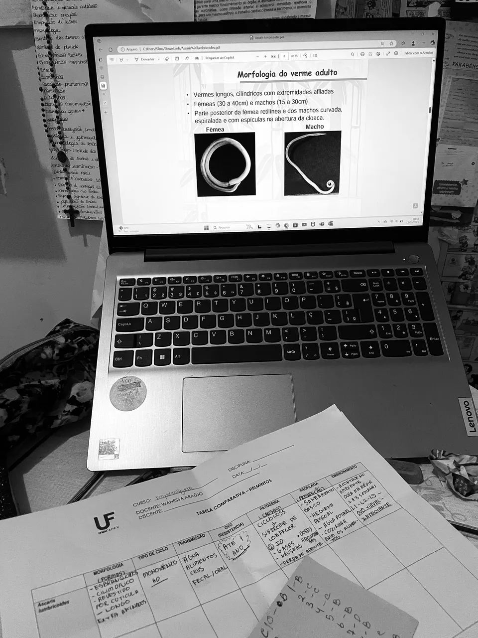 Notebook 64296996411266121