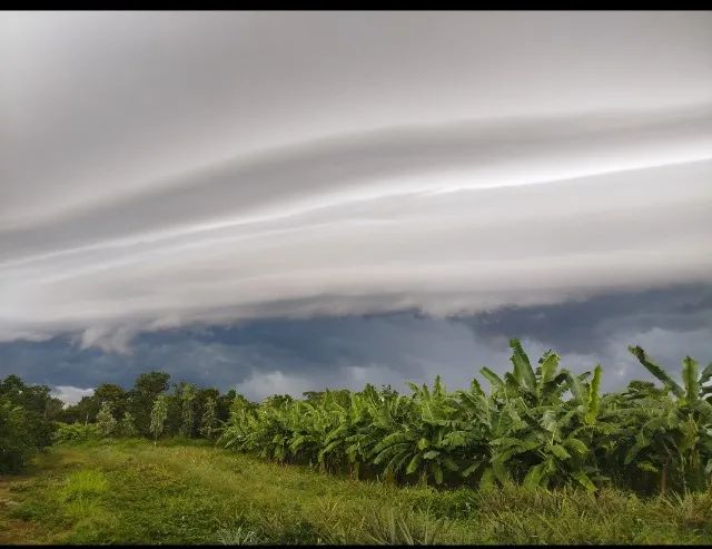 Fazenda em Taguatinga Tocantins  - Foto 5
