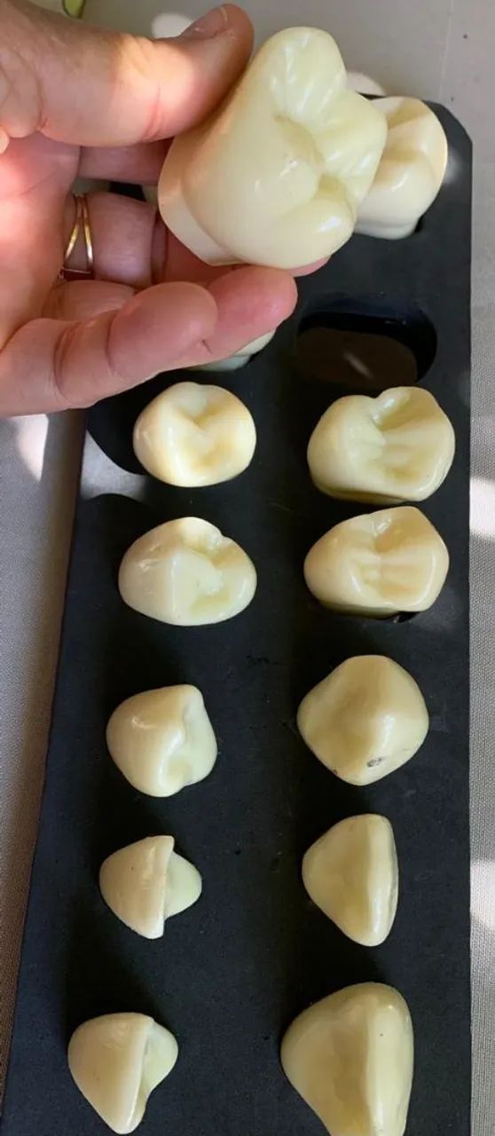Modelos de Dentes Odontológicos