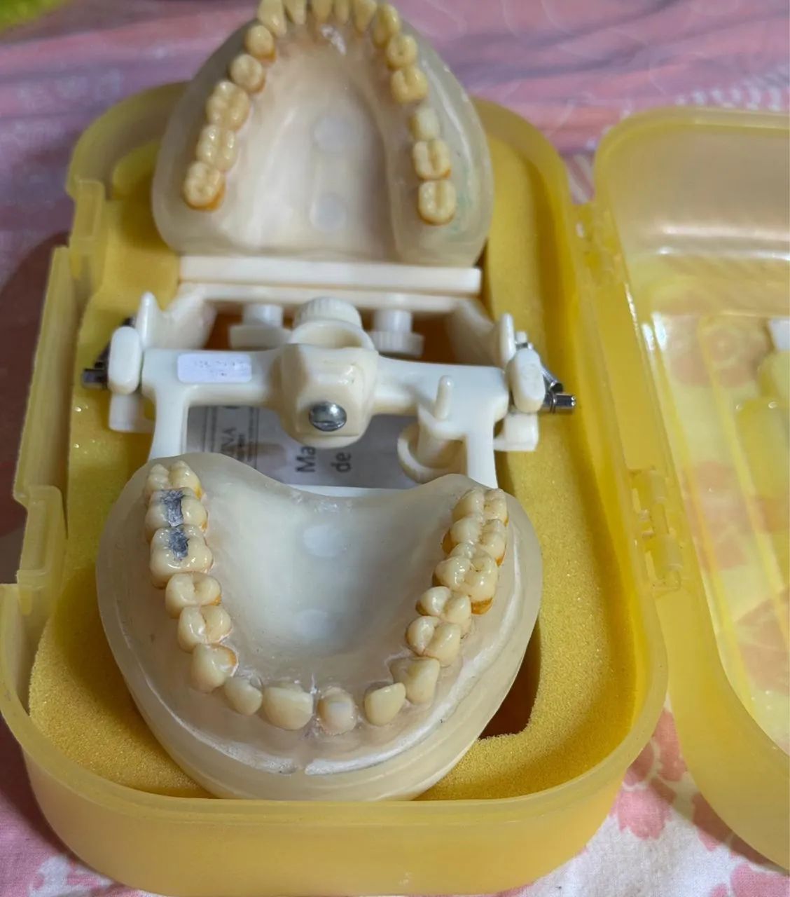 Manequim Odontológico 