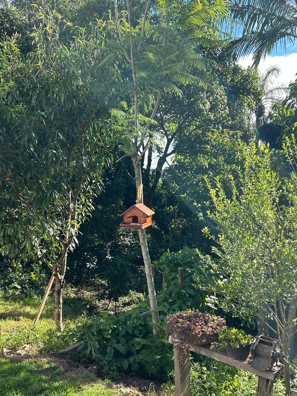 Esta linda chácara pode ser tua! Bairro Piraporão em Piedade - SP - Foto 11