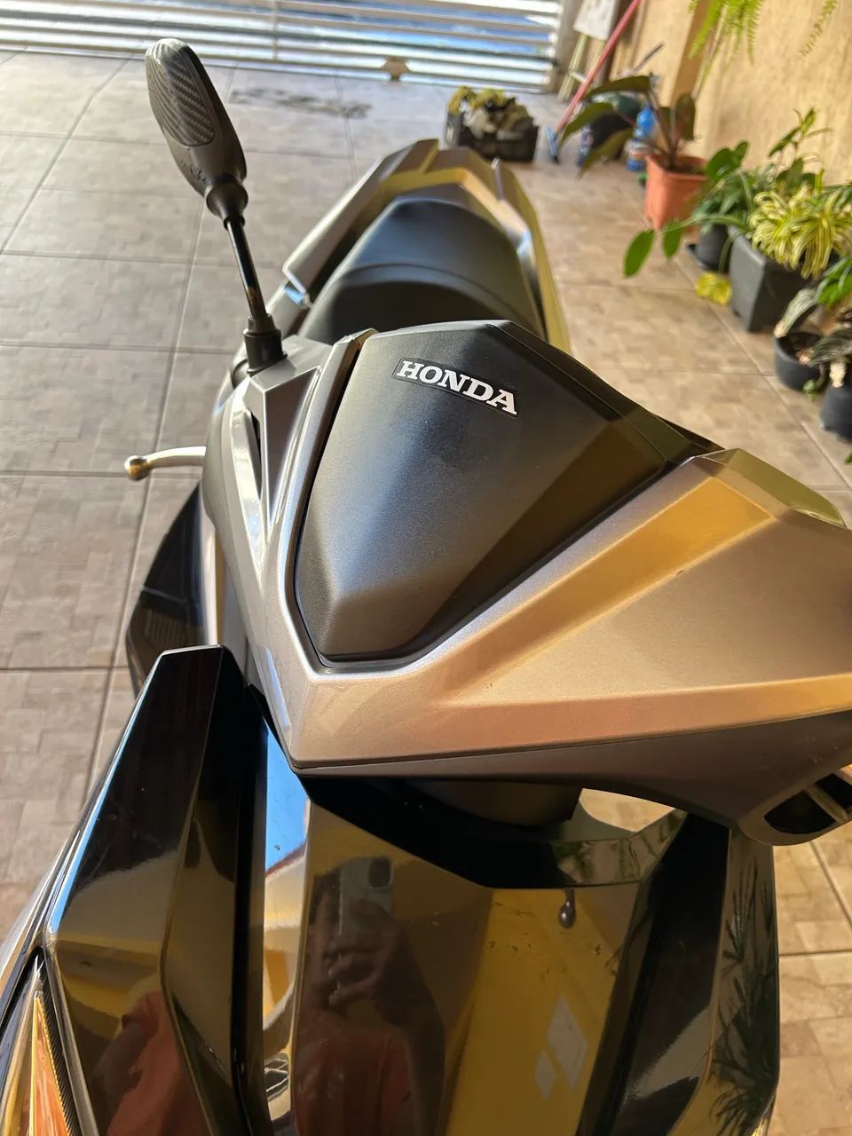 Elite - Foto 4