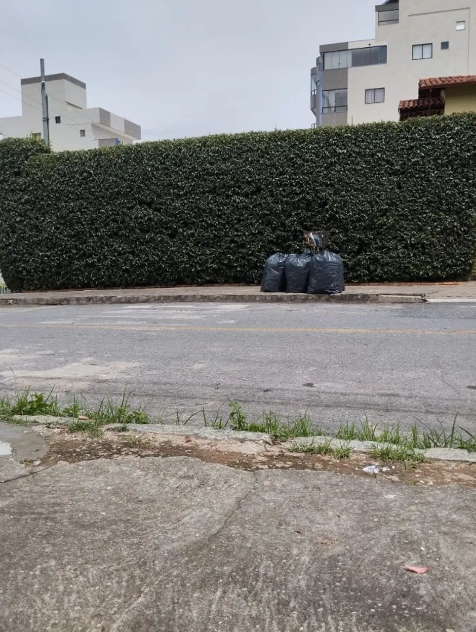 Faço serviço de jardinagem em geral  - Foto 4
