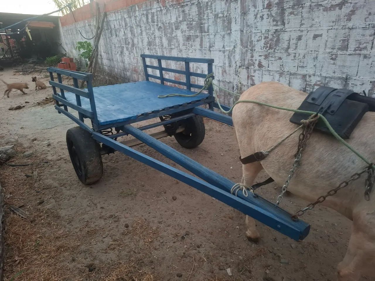 Carroça com arreios - Foto 2