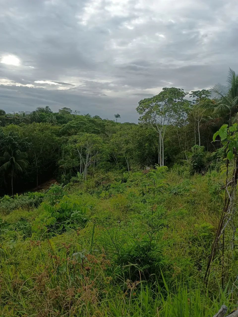 Vende se terreno (lote) de 17,00m x 92,00m