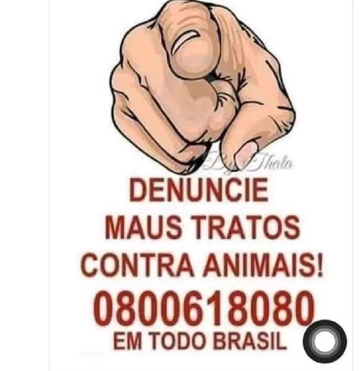 Músicas de Karaokê profissional para bares e restaurantes. - Foto 5