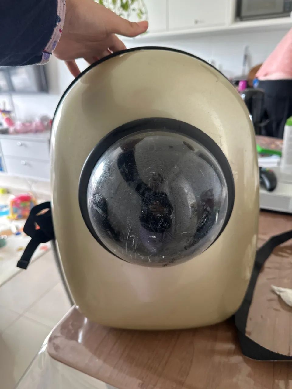 Mochila Pet para transporte