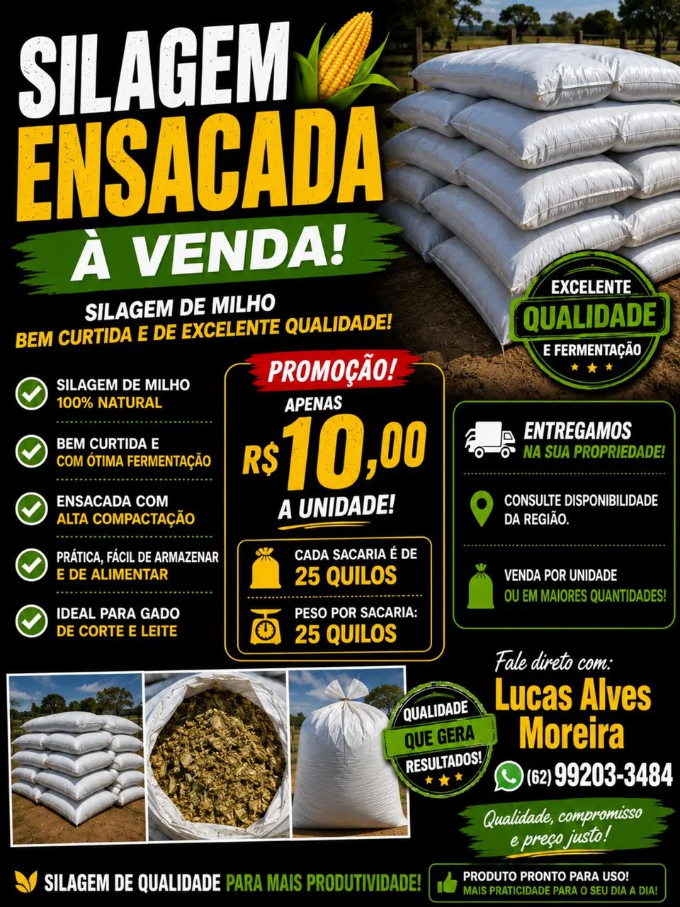 Silagem de milho curtido  - Foto 2
