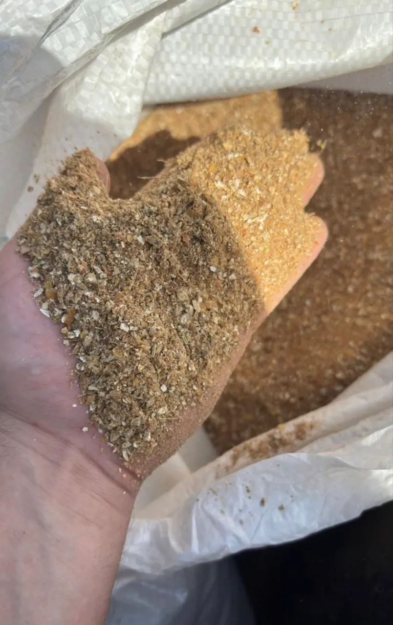 Ração 14% proteína  - Foto 3