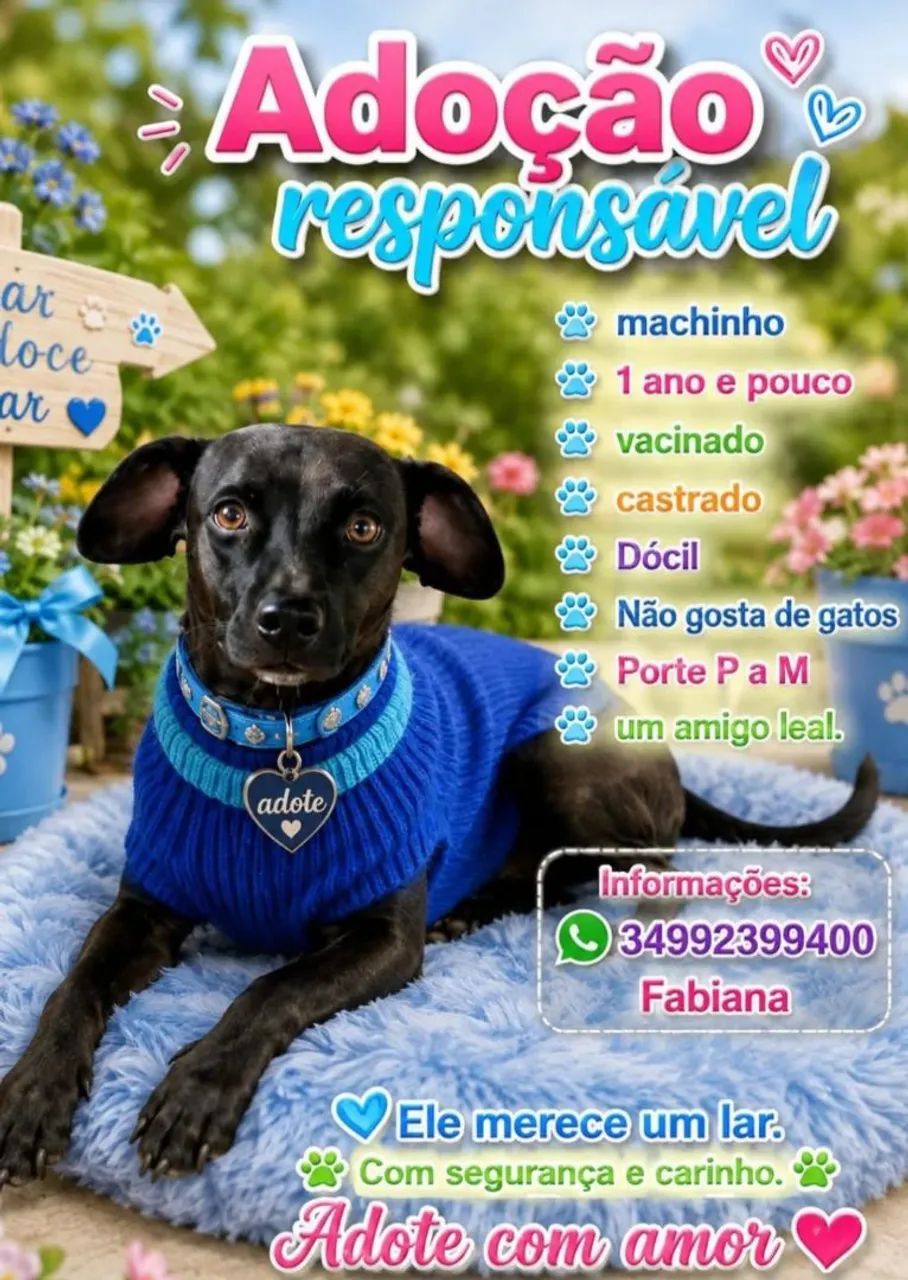 Adoção responsável 