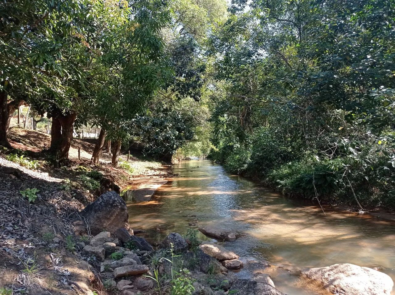 CHÁCARA EM AMARELOS