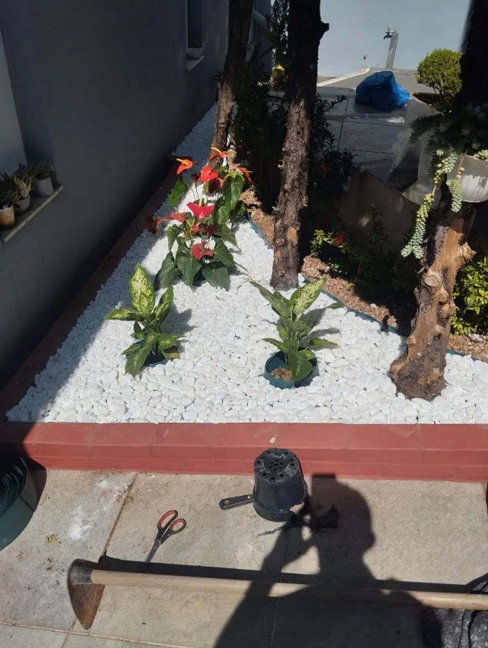 Faço serviço de jardinagem em geral  - Foto 2
