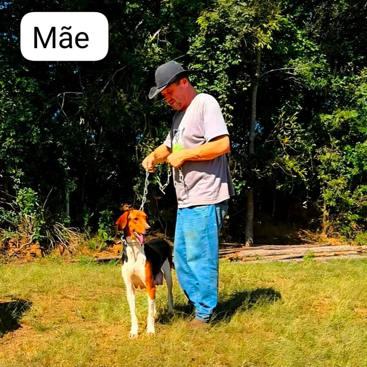 Fox Hound Americano - Foto 5