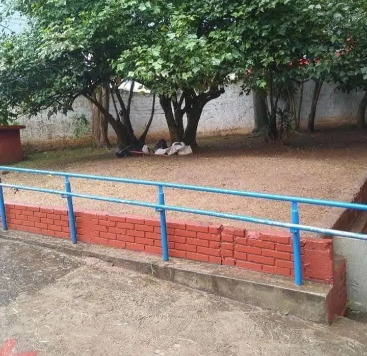 Jardineiro - Foto 2