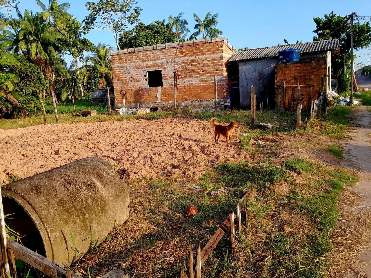 Terreno amplo  - Foto 3