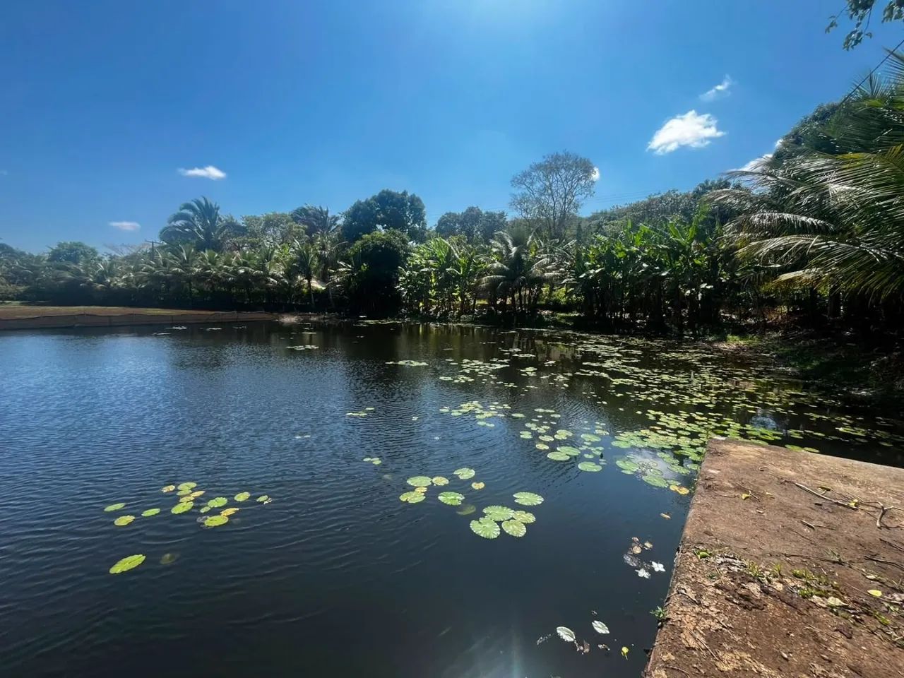 Chácara à Venda - Oportunidade - Foto 2
